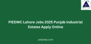 PIEDMC Lahore Jobs 2025 Apply Online Latest Vacancies