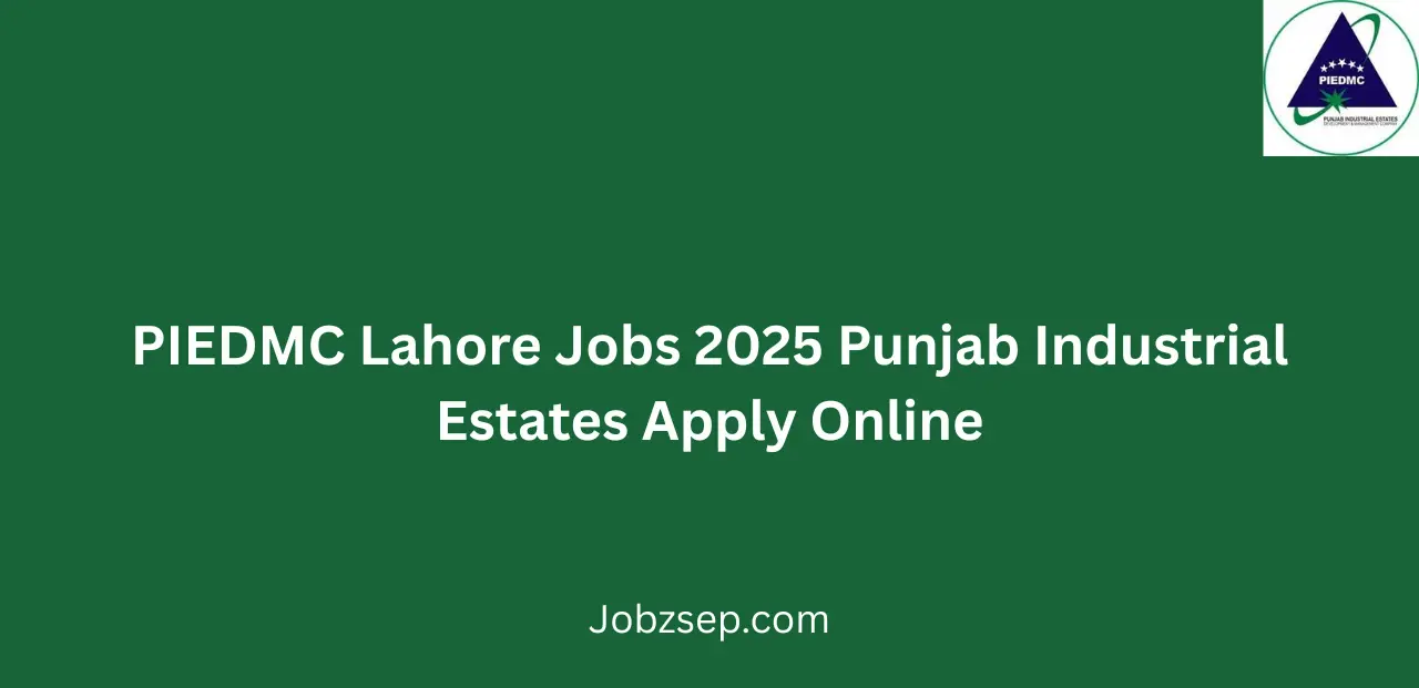 PIEDMC Lahore Jobs 2025 Apply Online Latest Vacancies